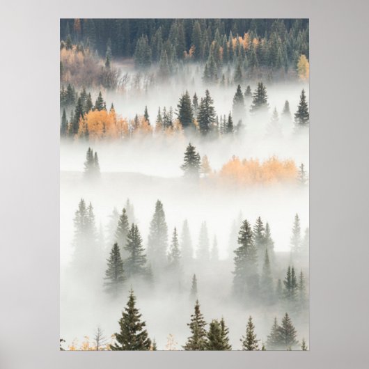 Dauwdal nevel bedekt bergwoud poster (Voorkant)