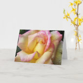 dauwdroos kaart (Gele Bloem)