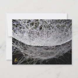Dauwdruppel Water Hangmat Spinnenweb Briefkaart