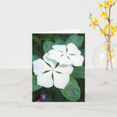 Dauwdruppels op Witte v2 Kaart (Gele Bloem)