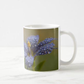 Dauwige Blauwe Ogen Koffiemok