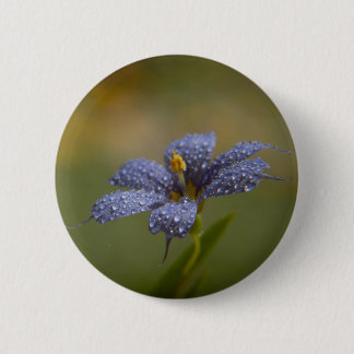 Dauwige Blauwe Ogen Ronde Button 5,7 Cm