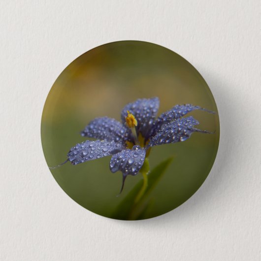 Dauwige Blauwe Ogen Ronde Button 5,7 Cm (Voorkant)