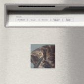 Dave 5.1 Cm Square Magnet afspelen (Insitu (Vaatwasser))