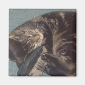 Dave 5.1 Cm Square Magnet afspelen (Voorkant)