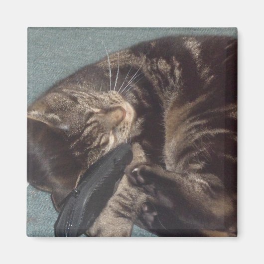 Dave 5.1 Cm Square Magnet afspelen (Voorkant)