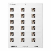 Dave kijkt naar je Adresetiketten Etiket (Full Sheet)