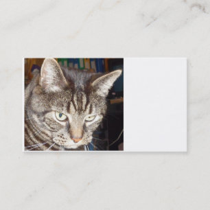 Dave kijkt naar je Visitekaartjes