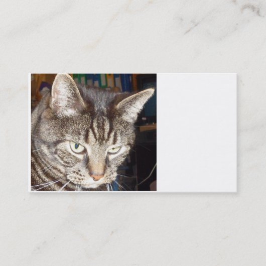 Dave kijkt naar je Visitekaartjes (Voorkant)