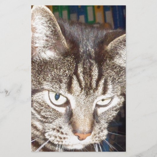 Dave kijkt naar jou briefpapier (Voorkant)