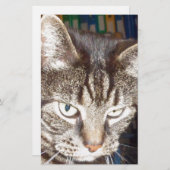 Dave kijkt naar jou briefpapier (Voorkant / Achterkant)