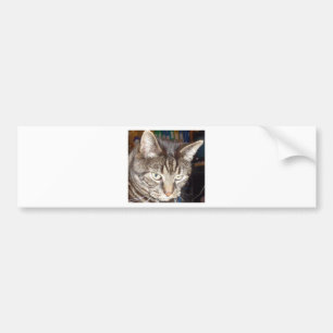 Dave kijkt naar jou bumpersticker