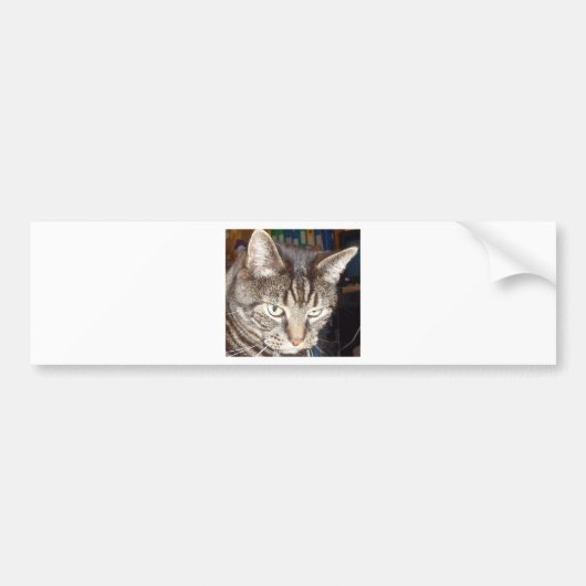 Dave kijkt naar jou bumpersticker (Voorkant)