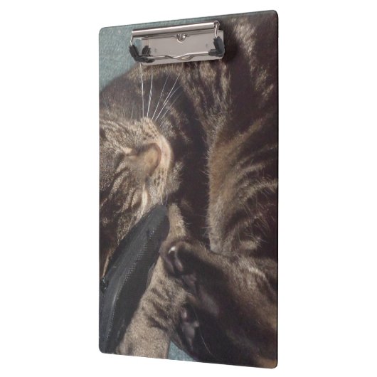 Dave-klembord afspelen klembord (Links)