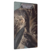 Dave-klembord afspelen klembord (Rechts)