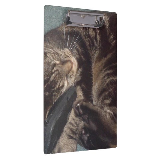 Dave-klembord afspelen klembord (Rechts)