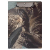 Dave-klembord afspelen klembord (Voorkant)