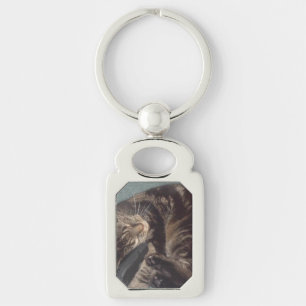 Dave Rectangle Metal Sleutelhanger afspelen