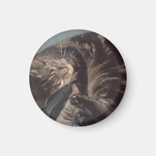 Dave Small, 3.2 cm Ronde Magnet (Voorkant)