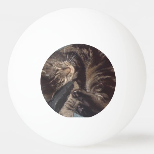 Dave Three Star Ping Pong Ball (Voorkant)