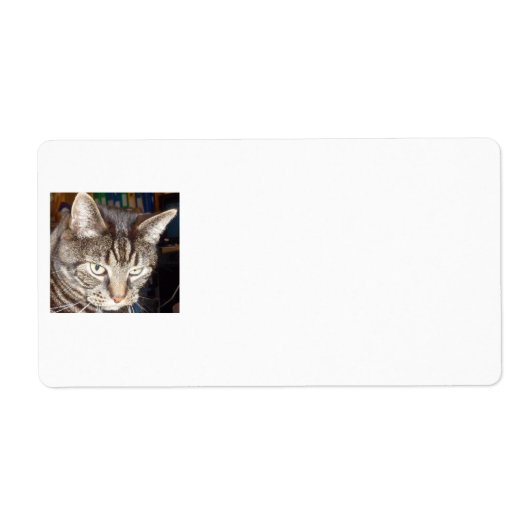 Dave volgt je verzendlabels etiket (Voorkant)