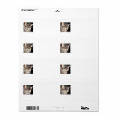 Dave volgt je verzendlabels etiket (Full Sheet)