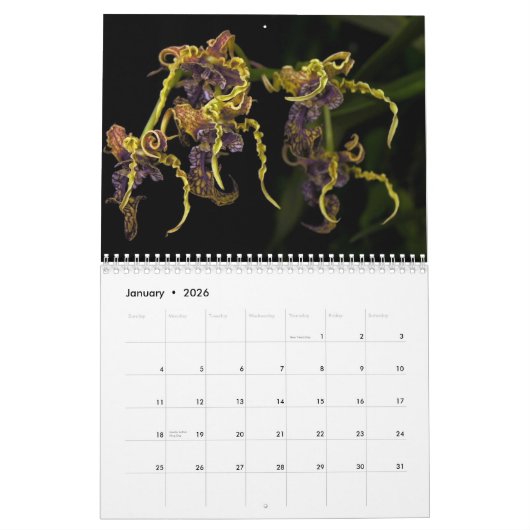 Dave's Garden 2013 Agenda Kalender (Jan 2026)