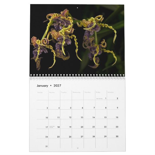 Dave's Garden 2013 Agenda Kalender (Jan 2027)
