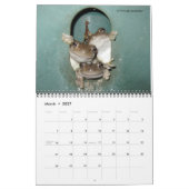 Dave's Garden 2016 Agenda Kalender (Mar 2027)