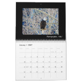 Dave's Garden 2018 Agenda Kalender (Jan 2027)