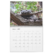 Dave's Garden 2020 de Kalender van de Fotowedstrij (Mar 2027)