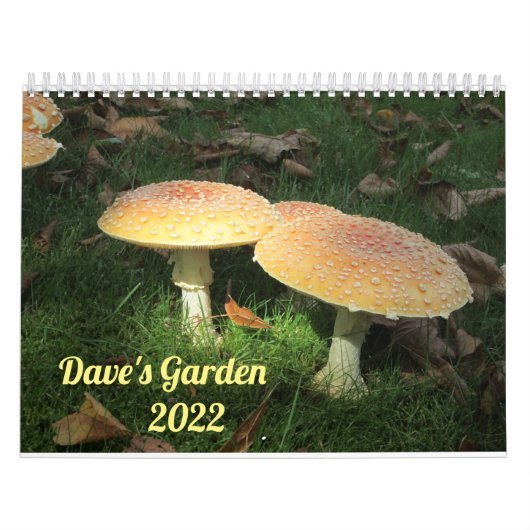 Dave's Garden 2022 Kalender (Hoes)
