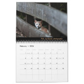 Dave's Garden 2023 Calendar Kalender (Feb 2026)
