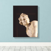 David, 1623-24 (marmer) (detail) canvas afdruk (Insitu (Houten vloer))