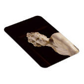 David, 1623-24 (marmer) (detail) magneet (Rechterzijde)