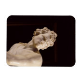 David, 1623-24 (marmer) (detail) magneet (Horizontaal)