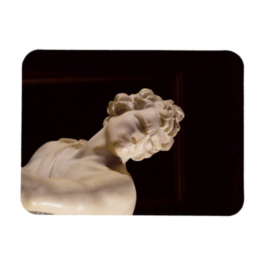 David, 1623-24 (marmer) (detail) magneet (Horizontaal)