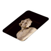 David, 1623-24 (marmer) (detail) magneet (Linkerzijde)