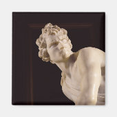 David, 1623-24 (marmer) (detail) magneet (Voorkant)