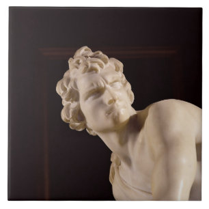 David, 1623-24 (marmer) (detail) tegeltje