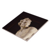 David, 1623-24 (marmer) (detail) tegeltje (Zijkant)