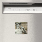 David 1 van Michelangelo Magneet (Insitu (Vaatwasser))