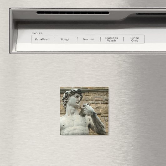 David 1 van Michelangelo Magneet (Insitu (Vaatwasser))