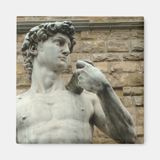 David 1 van Michelangelo Magneet (Voorkant)