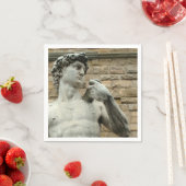 David 1 van Michelangelo Servetten (Insitu)