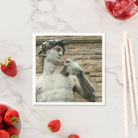 David 1 van Michelangelo Servetten (Insitu)