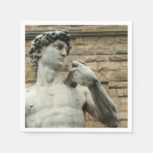 David 1 van Michelangelo Servetten (Voorkant)