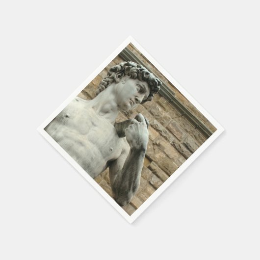 David 1 van Michelangelo Servetten (Hoek)