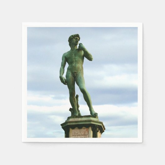 David 2 van Michelangelo Servet (Voorkant)