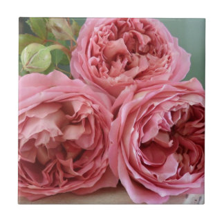 David Austin English Rozen Heritage Old Fashioned Tegeltje